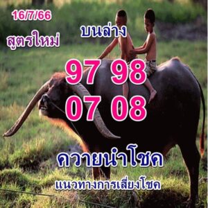 หวยควายนำโชคงวดนี้ 16-7-66